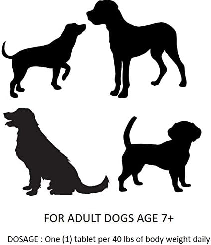 Alapvető Pet Idősebb Kutya Hip & Joint Support Rágótabletta 7 éves+ a 500 mg Glükózamin, 200 mg Kondroitin, MSM, Zöld Ajkú Kagyló